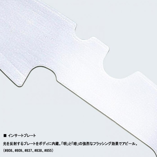 アマゾン ボーンモデル